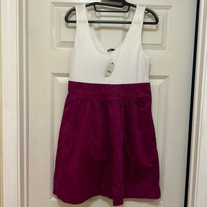 NWT Express Dress Size 10